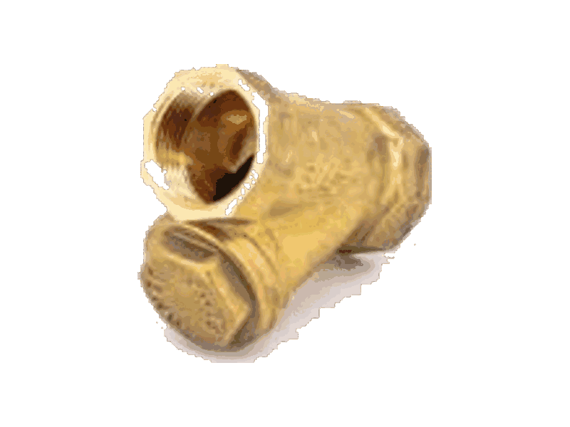 Pettinaroli bürünc Y-filtr — 1/2 ″ — 1001510000C