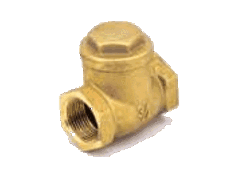 Pettinaroli check valve 2 " 1605021000C